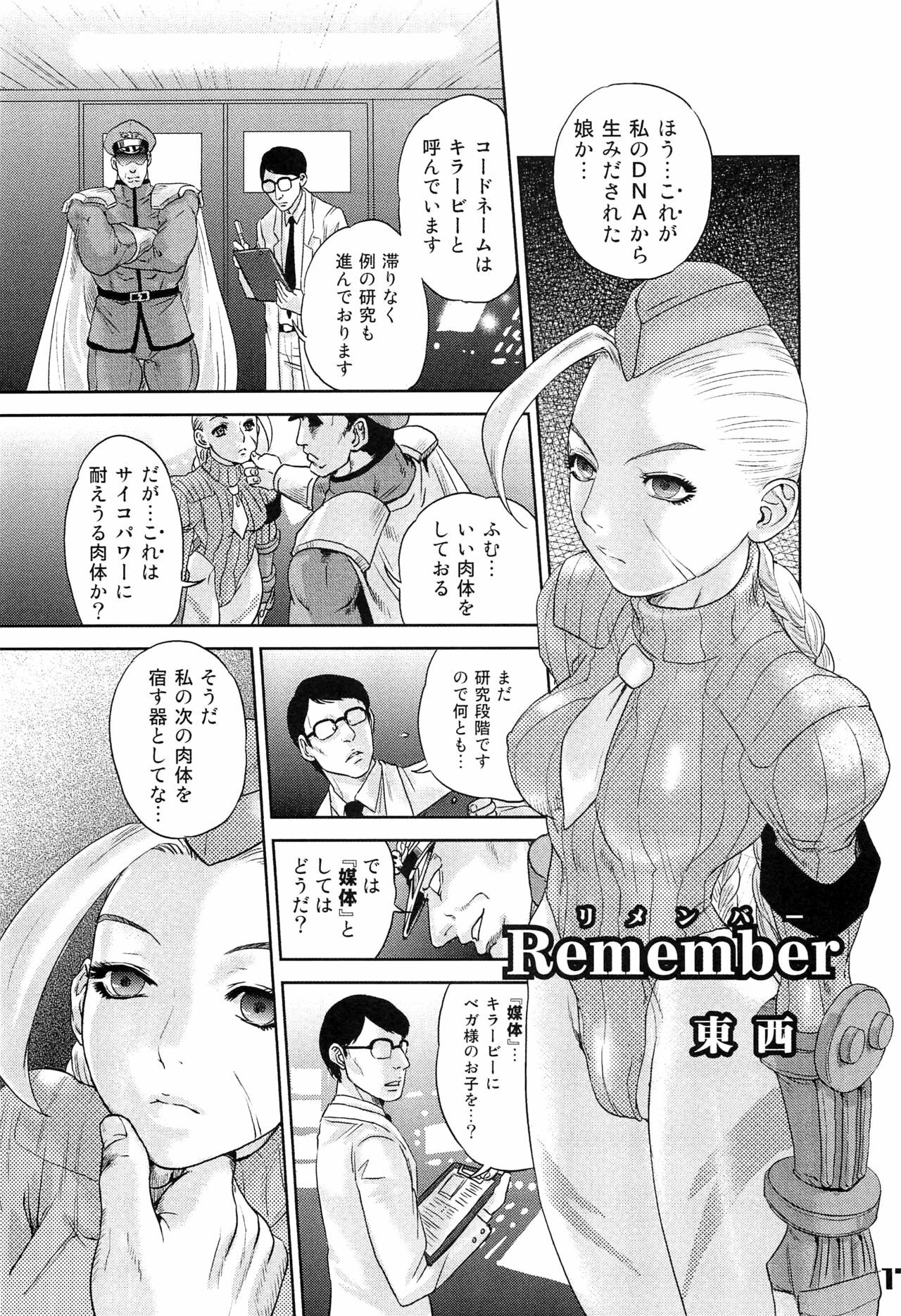(C76) [Hougakuya (Nanboku, Tohzai)] ROUND 04 (Street Fighter) page 17 full