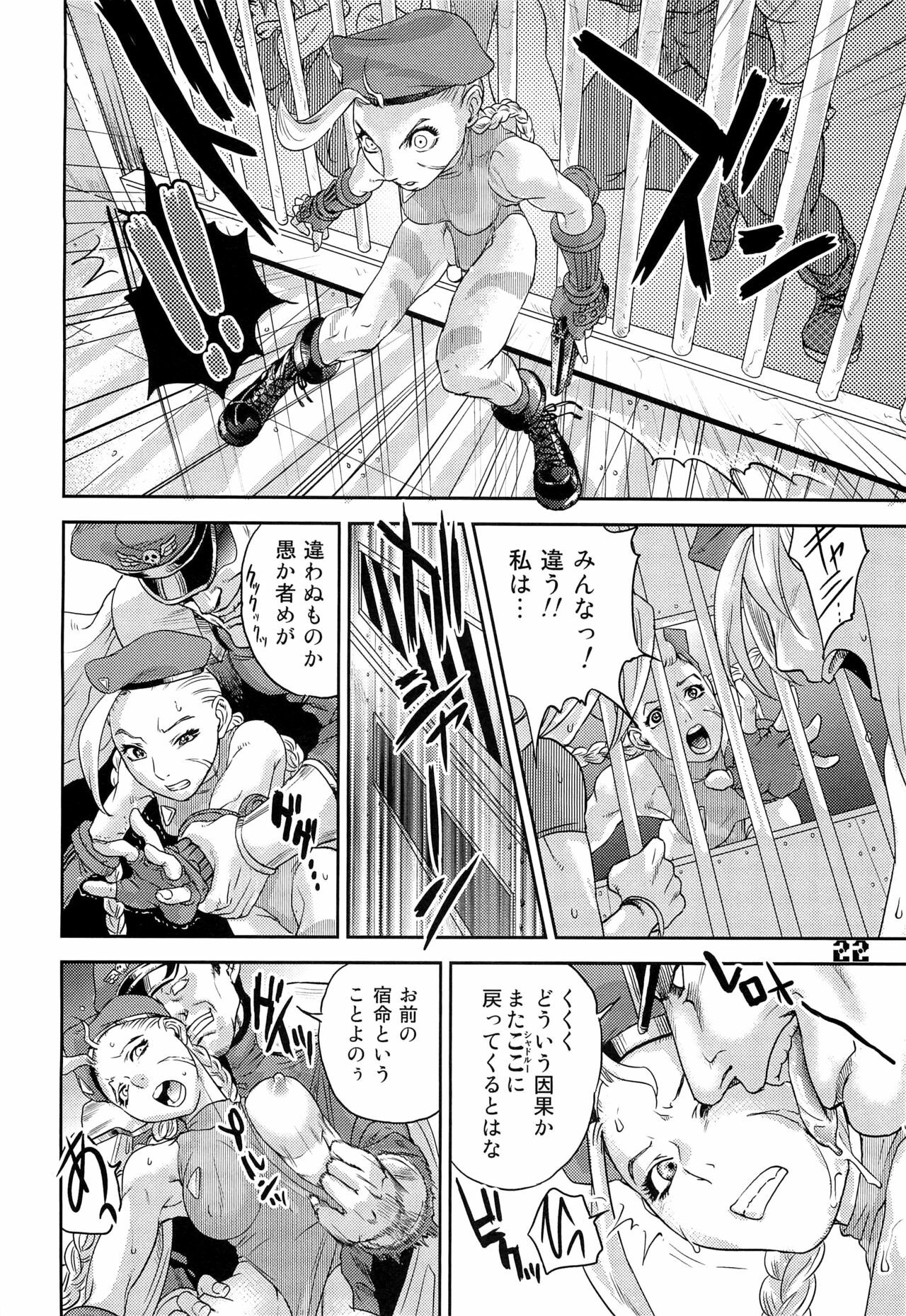 (C76) [Hougakuya (Nanboku, Tohzai)] ROUND 04 (Street Fighter) page 22 full