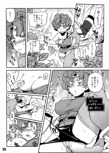 (C77) [Hougakuya (Nanboku, Tohzai)] FIELD 01 (Dragon Quest IV) - page 17