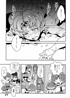 (C77) [Hougakuya (Nanboku, Tohzai)] FIELD 01 (Dragon Quest IV) - page 26