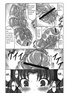 (COMIC1☆6) [Abarenbow Tengu (Izumi Yuujiro)] Kotori 8 (Fate/stay Night) [Spanish] {Kurotao} - page 18