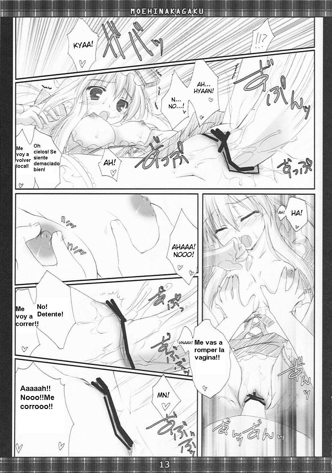 [Moehina Kagaku] - Whimsical Parasite 2 (Touhou) (Kurotao) (Spanish) page 13 full