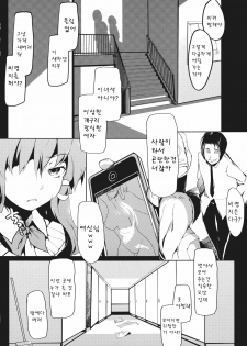 (Reitaisai 9) [Gyokotsu Kouzou (Kapo)] Signal Lost (Touhou Project) [Korean] - page 10
