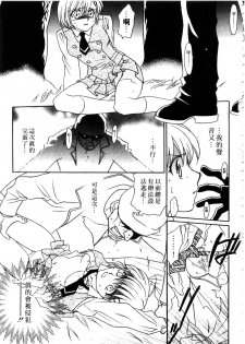 [Hayashiya Shizuru] ULTRA SWORD | 淫魔新娘 [Chinese] - page 15