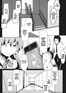 (Reitaisai 9) [Gyokotsu Kouzou (Kapo)] Signal Lost (Touhou Project) [Korean] [Team Arcana] - page 11