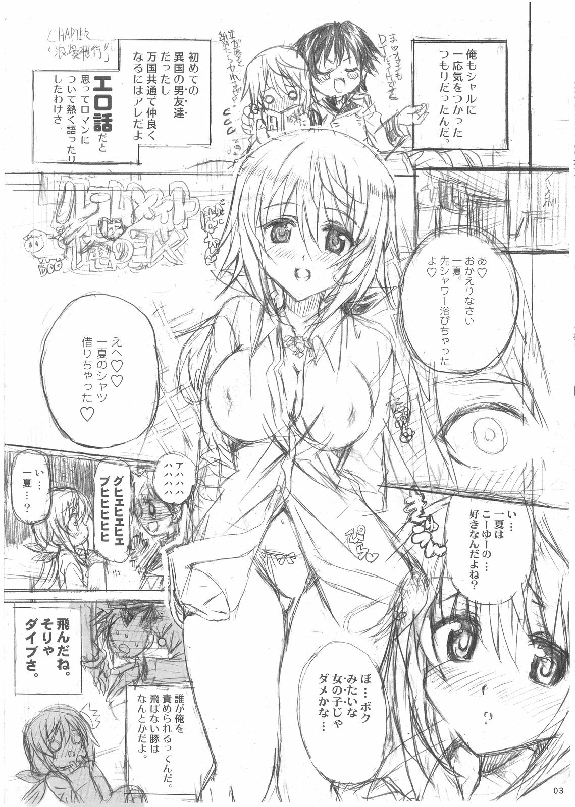 (C80) [STUDIO MOEBUTA (Shaa, Fuzuki Yoshihiro, Sacchie)] OH!MY PIGS (Kanzenban) (Infinite Stratos) page 3 full