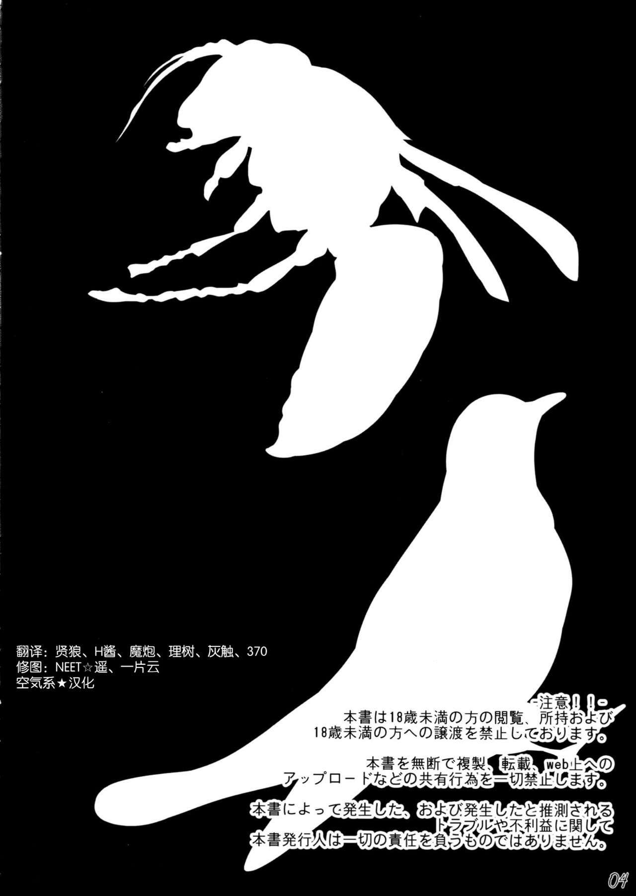 (COMIC1☆6) [In The Sky (Nakano Sora)] Boku no Panai Imouto-tachi (Nisemonogatari) [Chinese] [空気系★汉化] page 4 full