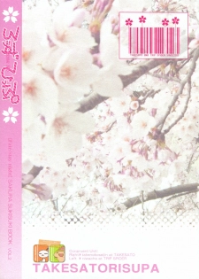 (COMIC1☆6) [Takesatorispa (niwacho, Takenoko Seijin)] rose hip (Fate/stay night) - page 26