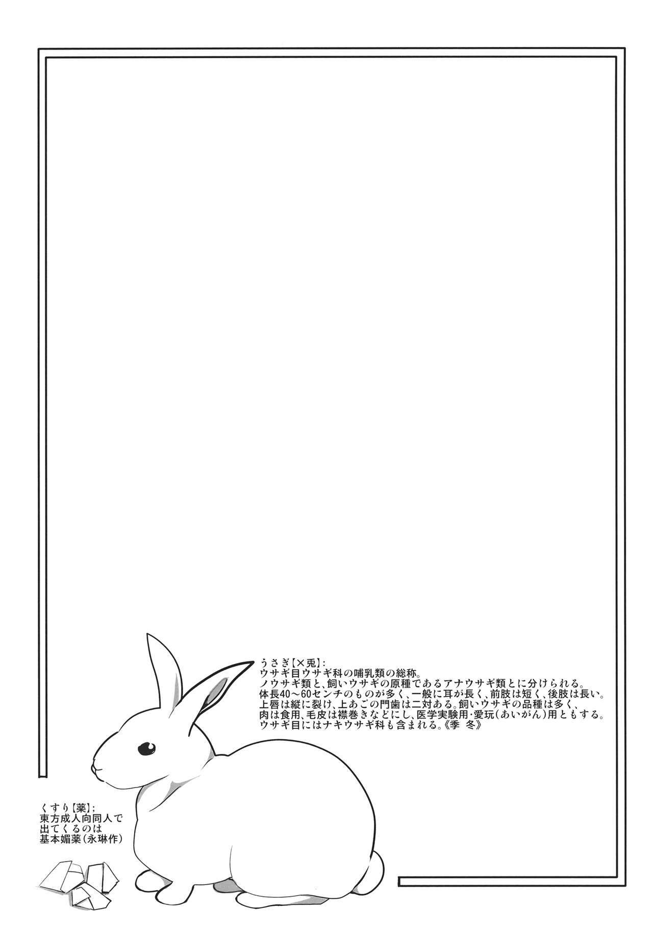 (C82) [Ryokucha Combo (Chameleon)] Usagi no Okusuriyasan (Touhou Project) page 3 full