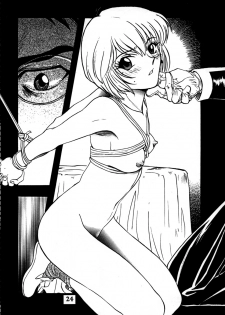 (Comic Castle 8) [STUDIO PAL (Nanno Koto, Hazuki Kaoru, Kenzaki Mikuri)] Delux Wanpaku Anime Zoukangou (Neon Genesis Evangelion) - page 23