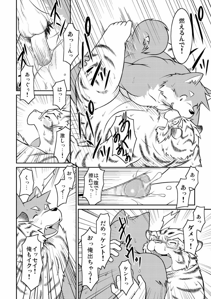 (C77) [Animalism (Takaki Takashi)] Bokutachi Sakuranbo page 12 full