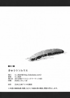 (C82) [Takoyaki-batake] Kyuuri Sommelier (Touhou Project) - page 26