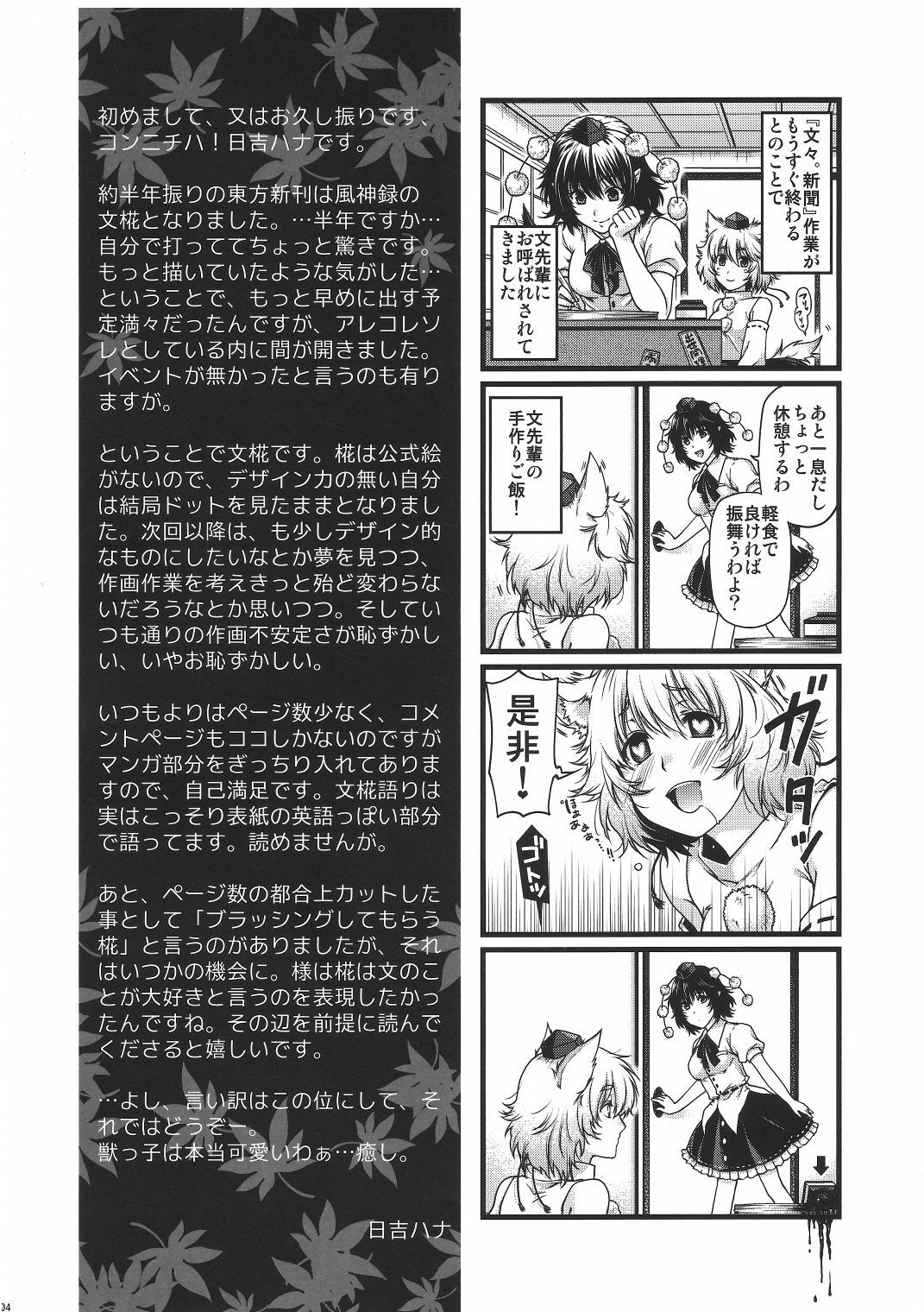 (COMIC1☆6) [HMA (Hiyoshi Hana)] YRDK (Touhou Project) page 3 full