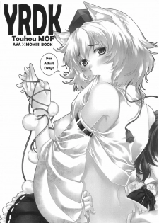 (COMIC1☆6) [HMA (Hiyoshi Hana)] YRDK (Touhou Project) - page 2