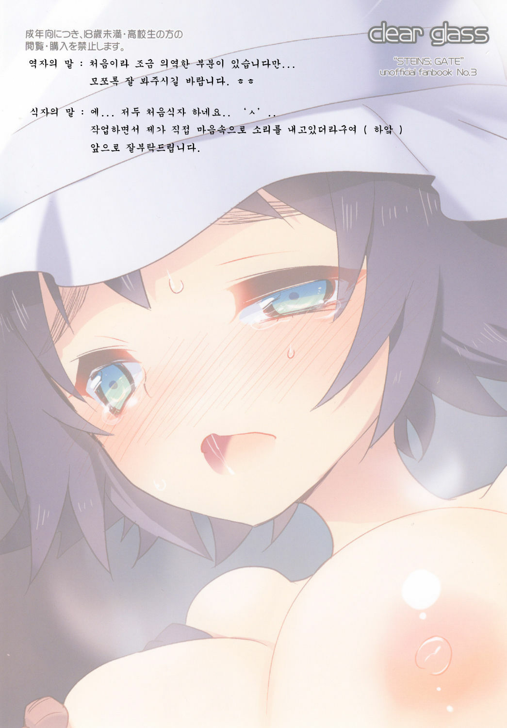 (C80) [clear glass (menimo)] Mayushii hosi to Chikan Densha (Steins;Gate) (korean) page 31 full