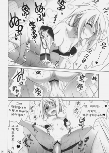 (COMIC1☆5) [47sp, SSB (Takashina@Masato, Maririn)] ichica to (IS ) [Korean] [Team Arcana] - page 25