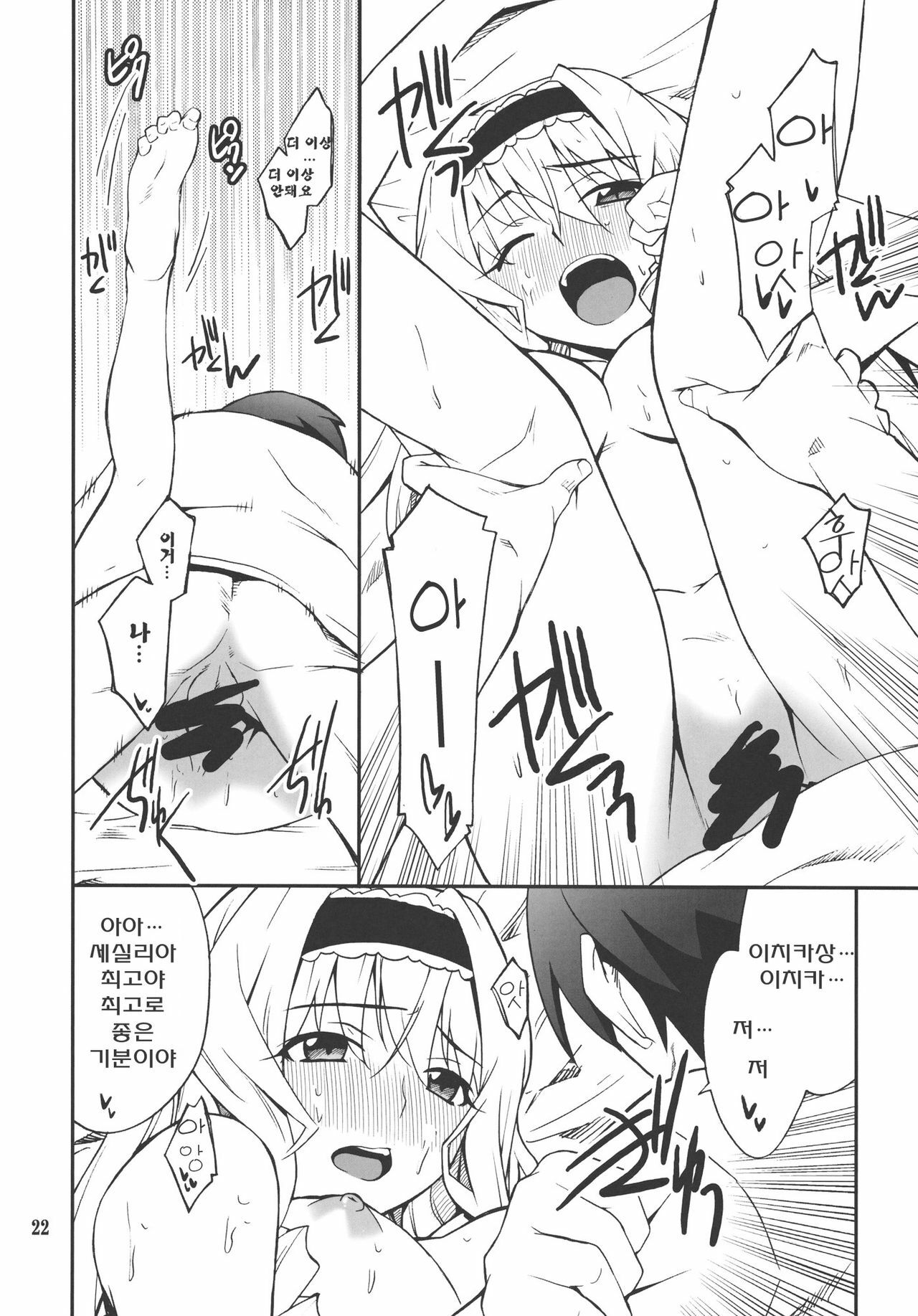 (C80) [P-FOREST (Hozumi Takashi)] Cecilia de Night (IS ) [Korean] [Team Arcana] page 21 full