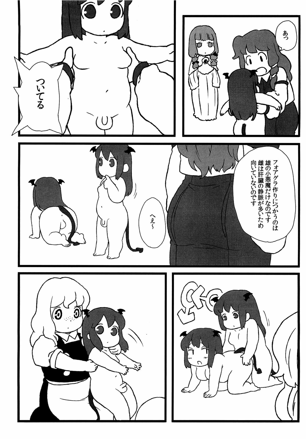 (C81) [Surudoiman no Irutokoro (Norihito)] Koakuma no Foie gras (Touhou Project) page 15 full