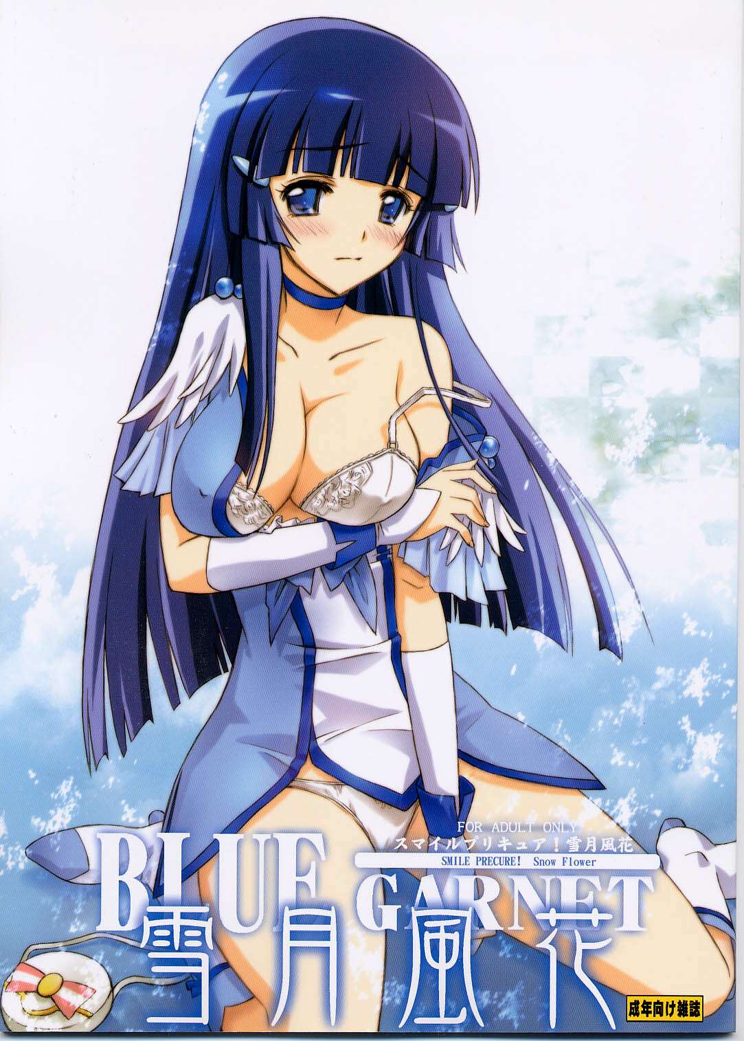(C82) [BLUE GARNET (Serizawa Katsumi)] Setsugetsufuuka (Smile Precure!) page 1 full