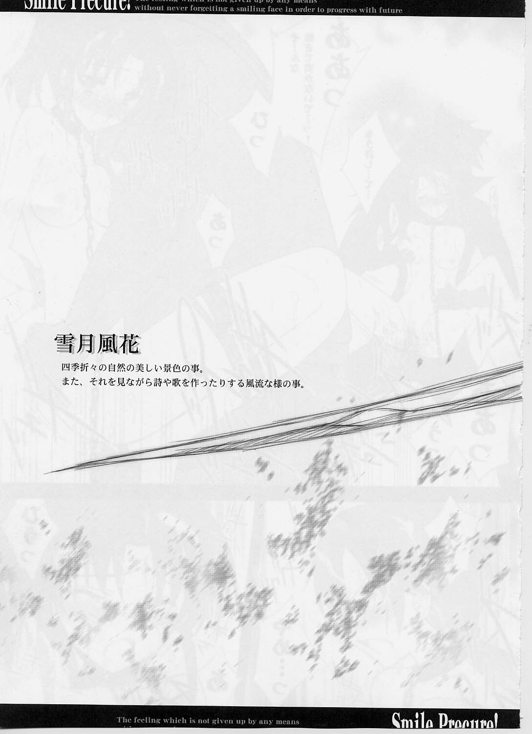(C82) [BLUE GARNET (Serizawa Katsumi)] Setsugetsufuuka (Smile Precure!) page 4 full