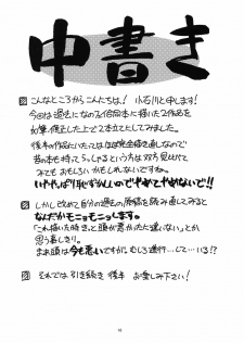 [Syamisen Koubou (Koishikawa)] YOUNGSTER (Mahou Shoujo Lyrical Nanoha) [Digital] - page 15