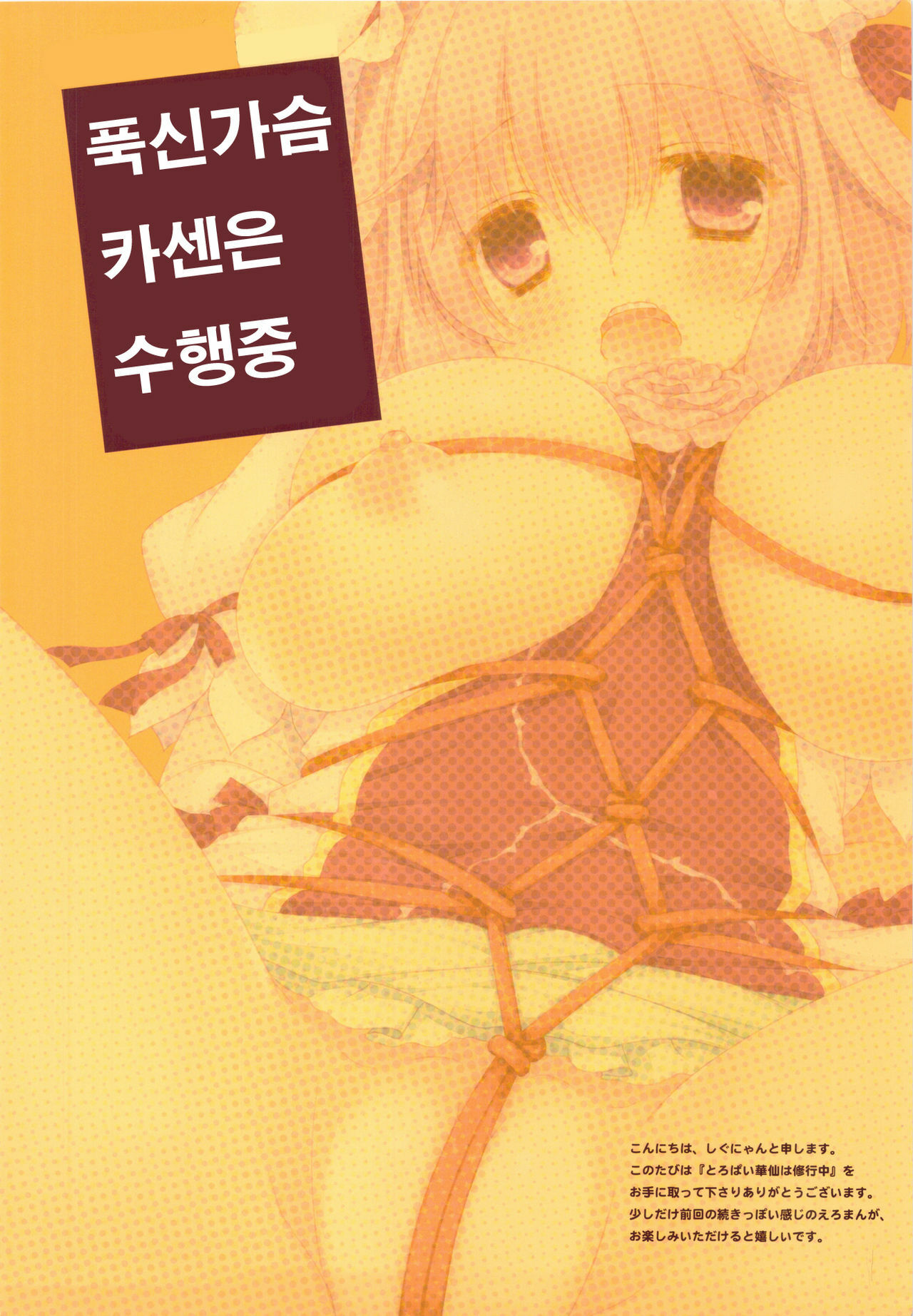 (C82) [Shigunyan (Shigunyan)] Toropai Kasen wa Shugyouchuu (Touhou Project) [Korean] [Team 아키바] page 3 full