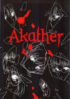 (C82) [UROBOROS (Utatane Hiroyuki)] Akather (Another) [Chinese] [CE汉化组] - page 2