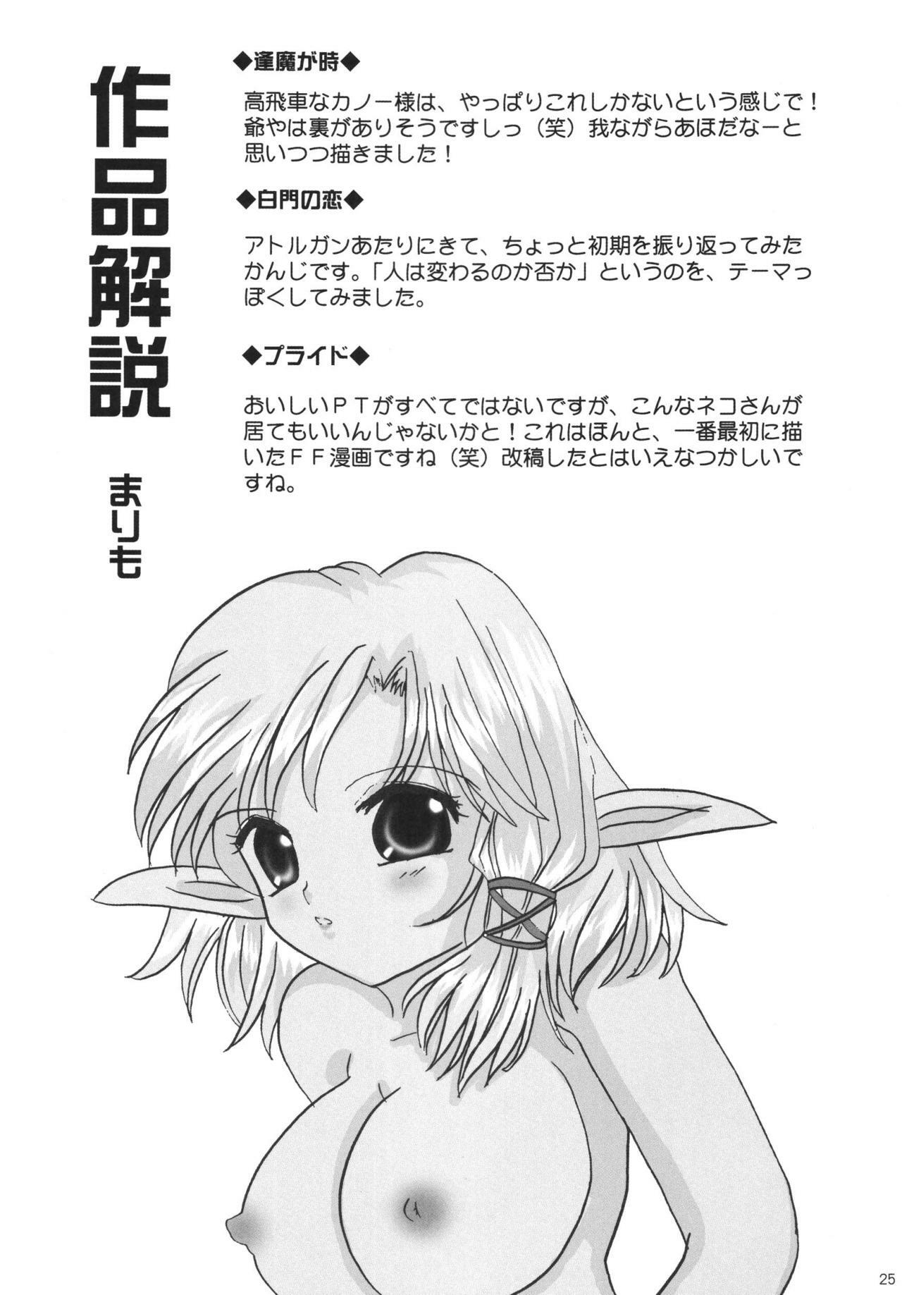 (C72) [Ichigo Milk (Marimo, Tsukune)] Misueru Milk - Mithra and Elvaan Ver. (Final Fantasy XI) page 25 full
