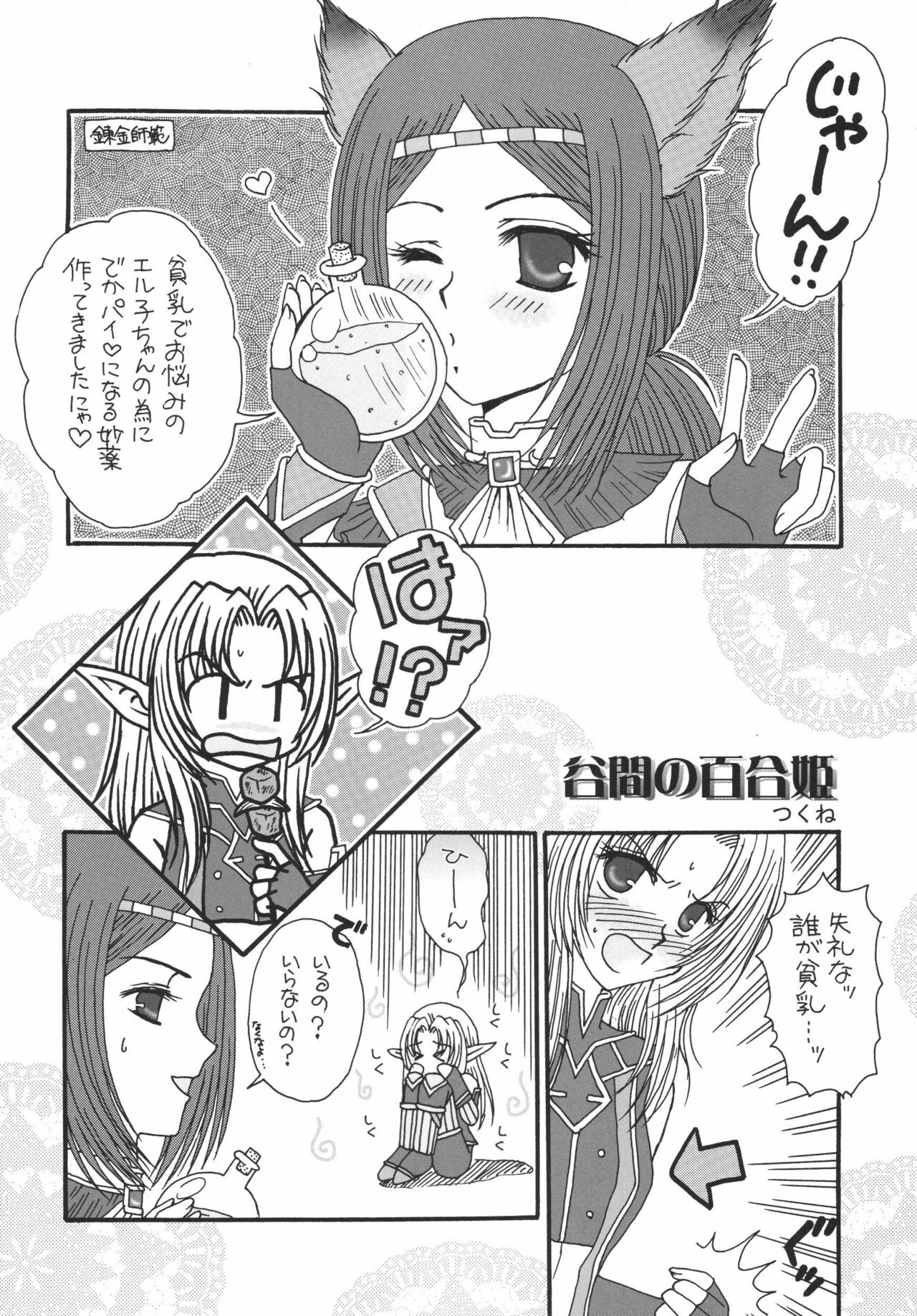 (C72) [Ichigo Milk (Marimo, Tsukune)] Misueru Milk - Mithra and Elvaan Ver. (Final Fantasy XI) page 49 full