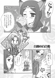 (C72) [Ichigo Milk (Marimo, Tsukune)] Misueru Milk - Mithra and Elvaan Ver. (Final Fantasy XI) - page 49