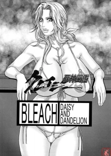 (C73) [H&K (Kotobuki Kazuki)] Shinigami Zukan Crazy (Bleach, Code Geass) [Chinese] - page 25