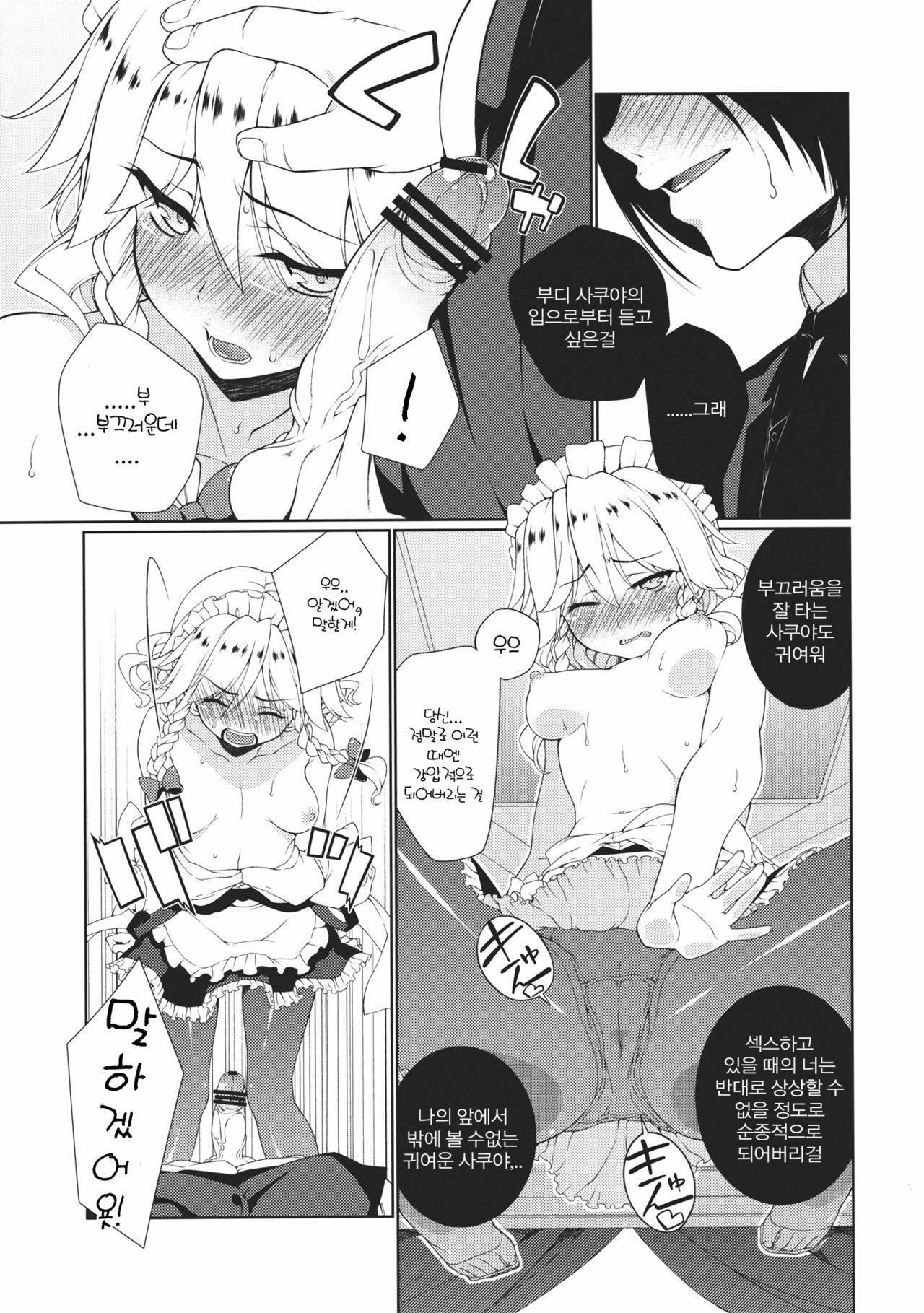 (C82) [TUKIBUTO (Hyouju Issei)] HI-Happy Pedigree (Touhou Project) (korean) page 11 full