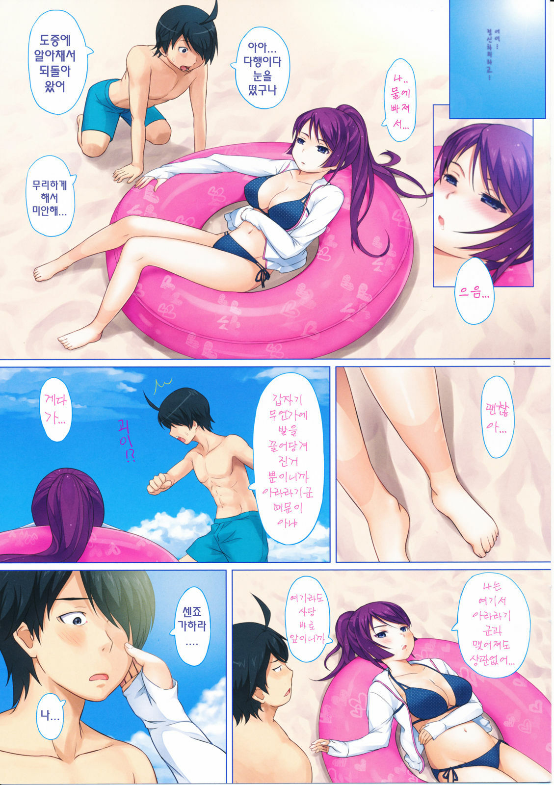 (C82) [Aoiten (Aoten)] hitagi ni mitore2 (Bakemonogatari) [Korean] [팀아키바] page 3 full