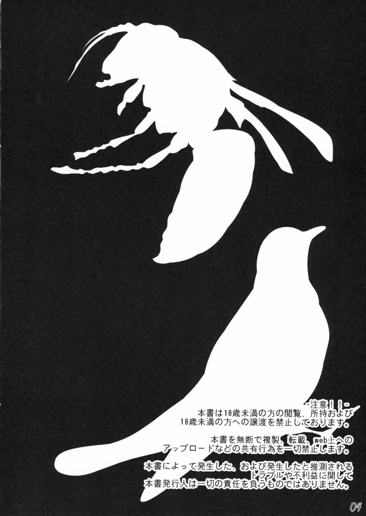 (COMIC1☆6) [In The Sky (Nakano Sora)] Boku no Panai Imouto-tachi (Nisemonogatari) (korean) page 4 full