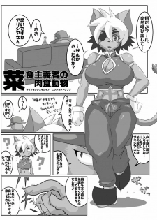 [Mochizuki Tooya] Hadairo. (Solatorobo) - page 4