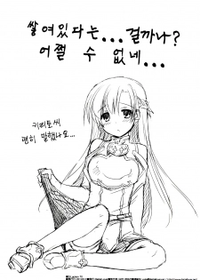 (C82) [Digital Lover (Nakajima Yuka)] D.L.action 70 (Sword Art Online) (korean) - page 20